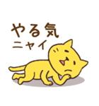 ゆるい黄色猫（個別スタンプ：11）