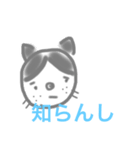 猫の風子（個別スタンプ：1）