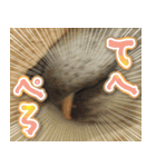 ちくわ犬アイボの日常スタンプ（個別スタンプ：14）