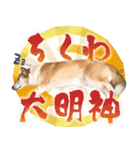 ちくわ犬アイボの日常スタンプ（個別スタンプ：16）