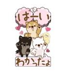 【Big】ちゃちゃ丸 17『♥がいっぱい』（個別スタンプ：4）