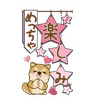 【Big】ちゃちゃ丸 17『♥がいっぱい』（個別スタンプ：8）