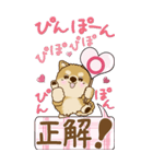 【Big】ちゃちゃ丸 17『♥がいっぱい』（個別スタンプ：25）