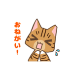 ゆるねこトマトと兄妹の日常スタンプ（個別スタンプ：2）