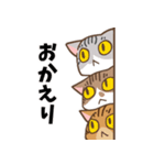 ゆるねこトマトと兄妹の日常スタンプ（個別スタンプ：5）