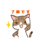 ゆるねこトマトと兄妹の日常スタンプ（個別スタンプ：8）