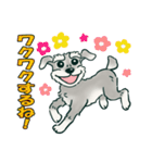 犬のハルくん 2弾（個別スタンプ：17）