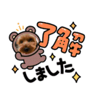 ウチのヨーキーちゃん達♡2（個別スタンプ：6）