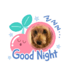 ウチのヨーキーちゃん達♡2（個別スタンプ：23）