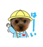 ウチのヨーキーちゃん達♡2（個別スタンプ：25）