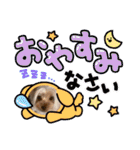 ウチのヨーキーちゃん達♡2（個別スタンプ：27）