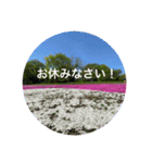 kinko 春バージョン4（個別スタンプ：9）