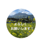 kinko 春バージョン4（個別スタンプ：22）