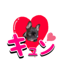梅LINEスタンプ/ぶひや（個別スタンプ：1）