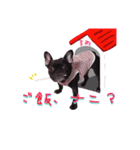 梅LINEスタンプ/ぶひや（個別スタンプ：6）