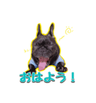梅LINEスタンプ/ぶひや（個別スタンプ：7）