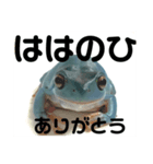 イエアメガエル 母の日編（個別スタンプ：13）