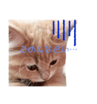 諭吉の日常スタンプ（個別スタンプ：5）
