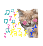 諭吉の日常スタンプ（個別スタンプ：7）