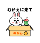 【家族連絡】コニーのスタンプ（個別スタンプ：4）