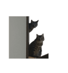 ラブリーネコチャンズ（個別スタンプ：7）