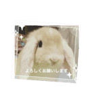 新入社員「シフォンちゃん」スペシャル（個別スタンプ：3）