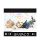 新入社員「シフォンちゃん」スペシャル（個別スタンプ：4）