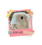新入社員「シフォンちゃん」スペシャル（個別スタンプ：6）