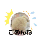 新入社員「シフォンちゃん」スペシャル（個別スタンプ：16）