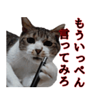 ちょっぴり荒ぶる！キジ白ばぁば（個別スタンプ：4）
