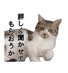 ちょっぴり荒ぶる！キジ白ばぁば（個別スタンプ：18）