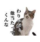 ちょっぴり荒ぶる！キジ白ばぁば（個別スタンプ：25）