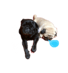 yukikoma（個別スタンプ：1）