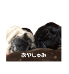 yukikoma（個別スタンプ：24）