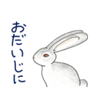 いろんな動物たちから一言（個別スタンプ：3）