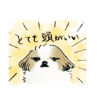 犬さまざま（個別スタンプ：3）