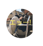 愉快な仲間たち仲間たち（個別スタンプ：2）