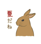 因幡の白うさぎと日本のうさぎたち（個別スタンプ：21）