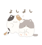 もちもちなねこたち（個別スタンプ：13）