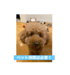 千葉蔵王スタンプ（個別スタンプ：8）