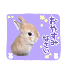 ☆久保ふぁむ☆（個別スタンプ：3）
