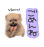 ☆久保ふぁむ☆（個別スタンプ：5）