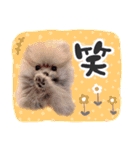 ☆久保ふぁむ☆（個別スタンプ：8）