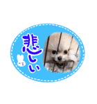 ☆久保ふぁむ☆（個別スタンプ：10）