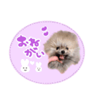 ☆久保ふぁむ☆（個別スタンプ：13）