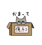 おれ、ねこ（個別スタンプ：15）