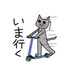 おれ、ねこ（個別スタンプ：22）