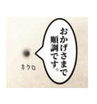 ビジネスシーンで使えるほくろスタンプ（個別スタンプ：25）