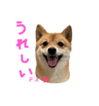 ちくわの日常Ⅲ（個別スタンプ：5）