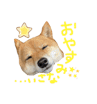 ちくわの日常Ⅲ（個別スタンプ：11）